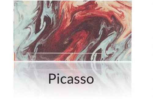 FV Skin For Caliburn - Picasso