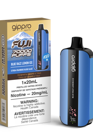 Gippro Fuji Disposable Vape 20mL