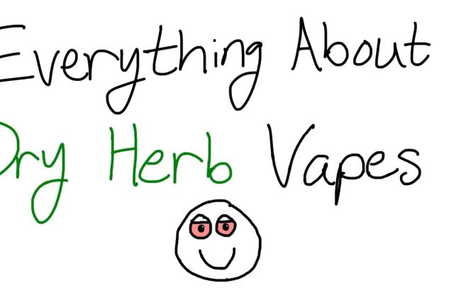 1775793604 maxresdefault