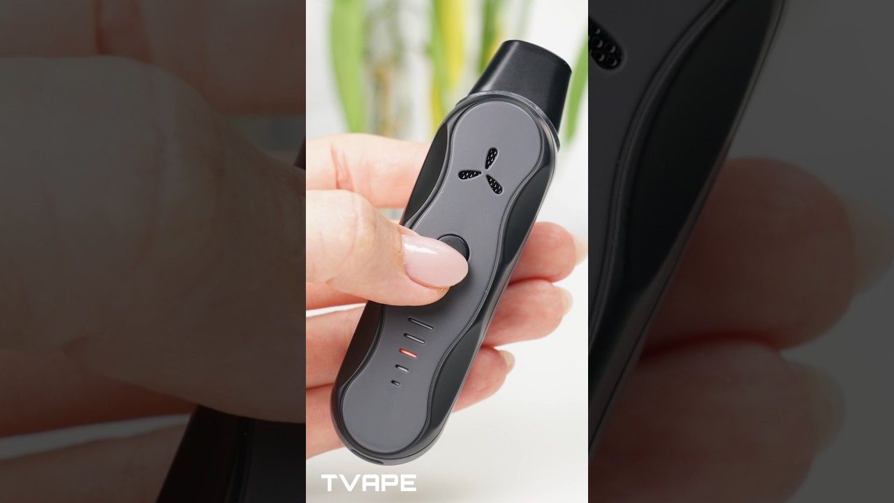 AirVape XS GO vs Smoking - The Best Budget Dry Herb Vaporizer? 1778918404 Maxresdefault