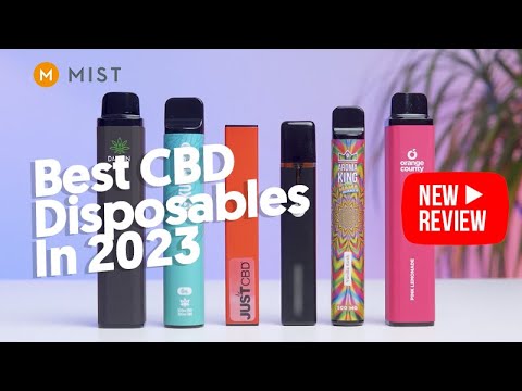 6 Best CBD Disposables in 2023 1788768004 hqdefault.jpg